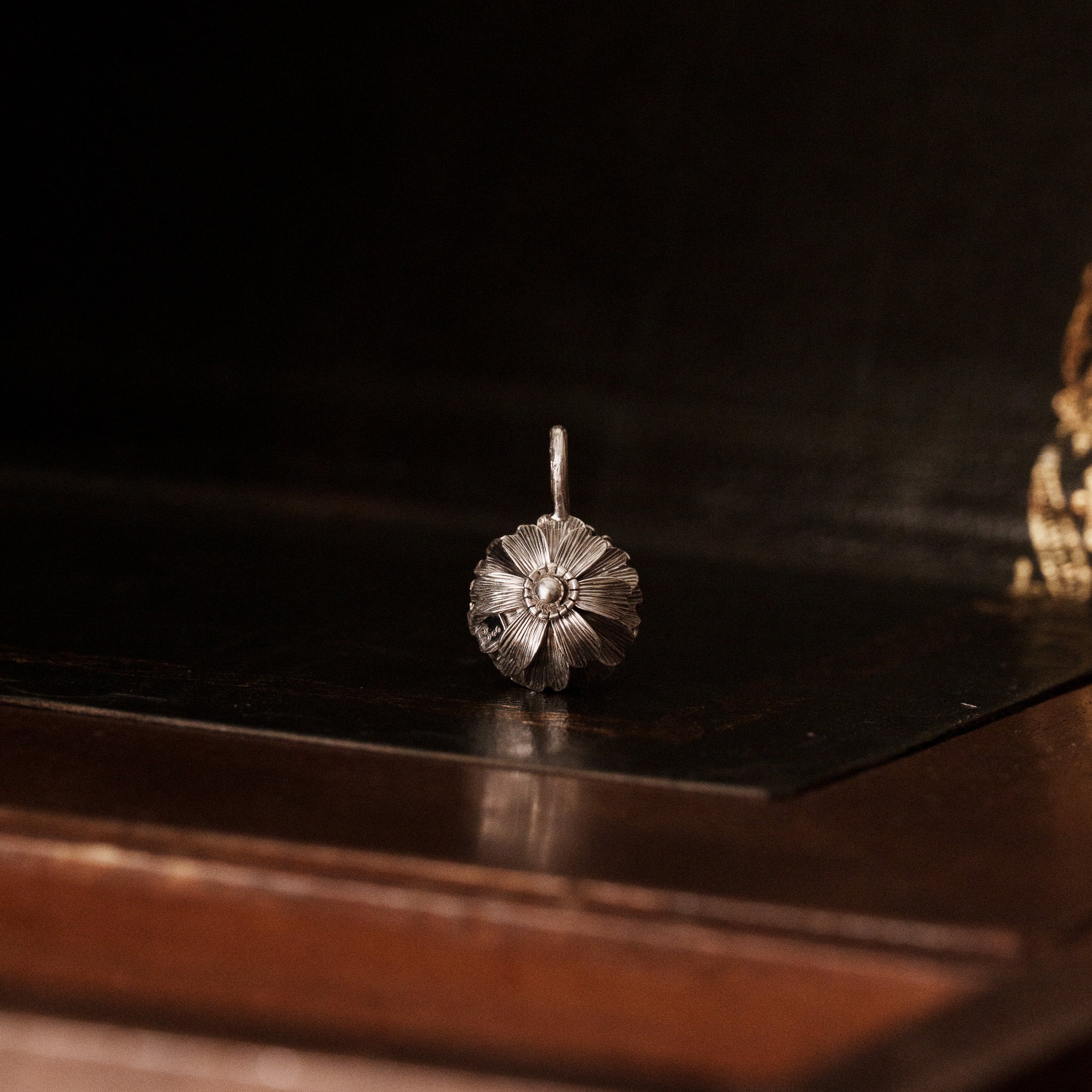 The Auditory Specimen __ Cosmos