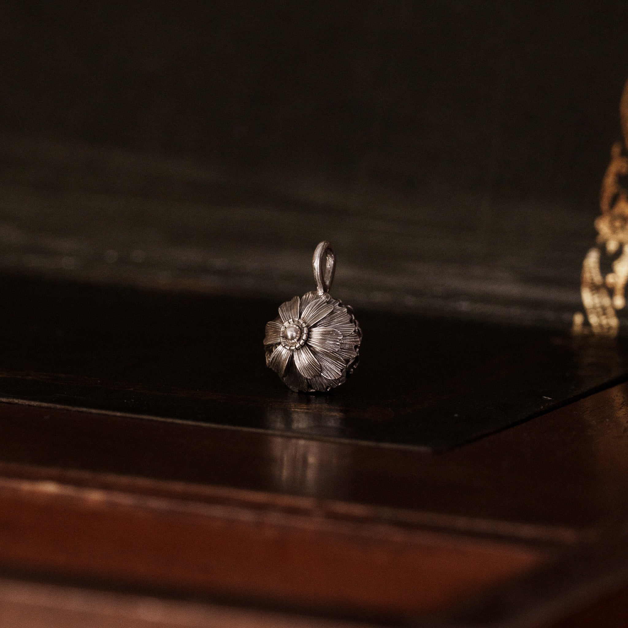 The Auditory Specimen __ Cosmos