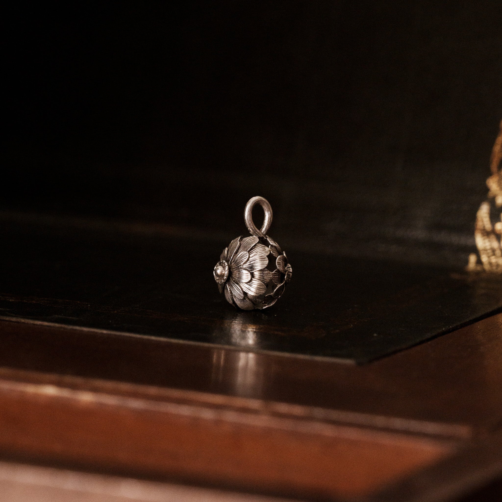 The Auditory Specimen __ Daisy