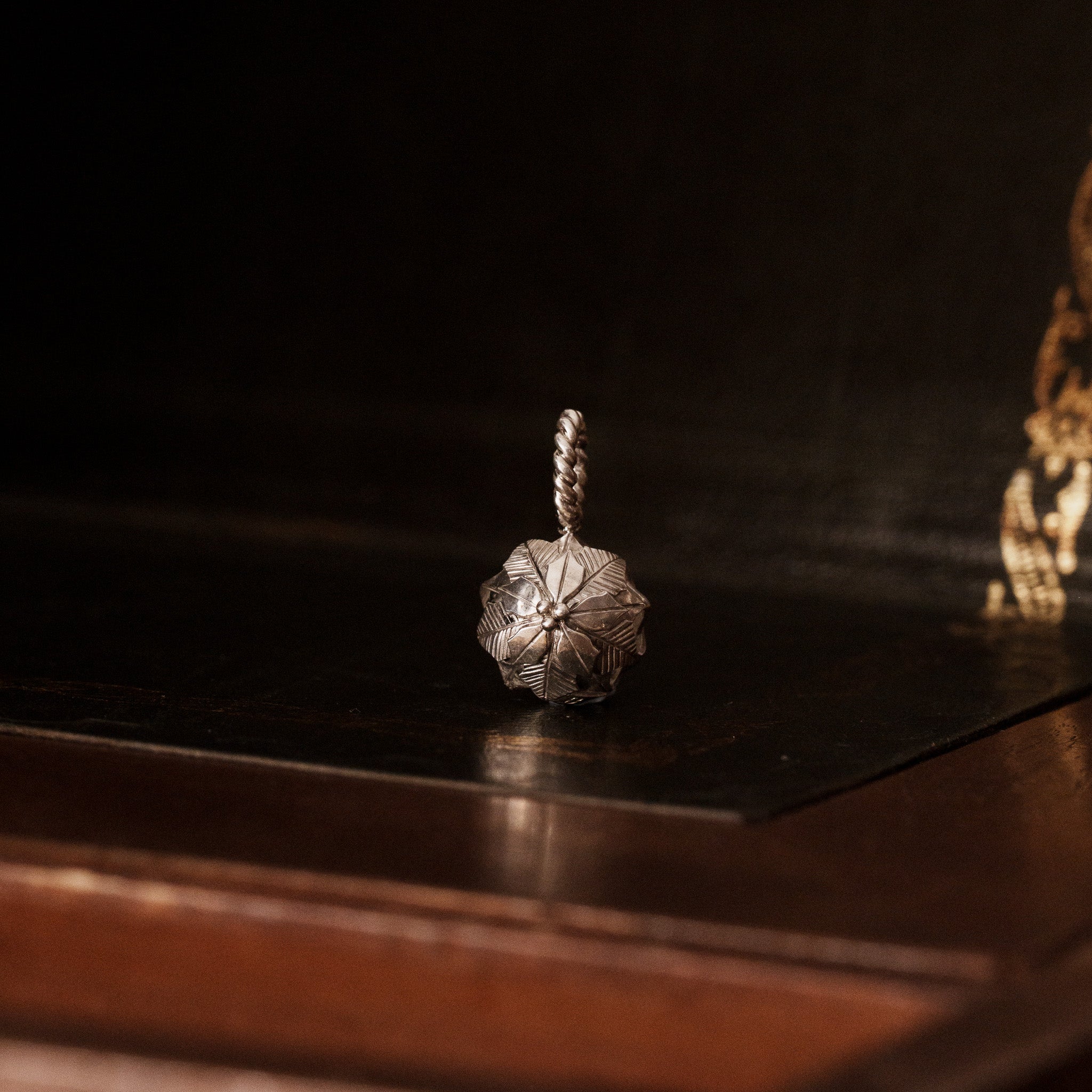 The Auditory Specimen __ Holly
