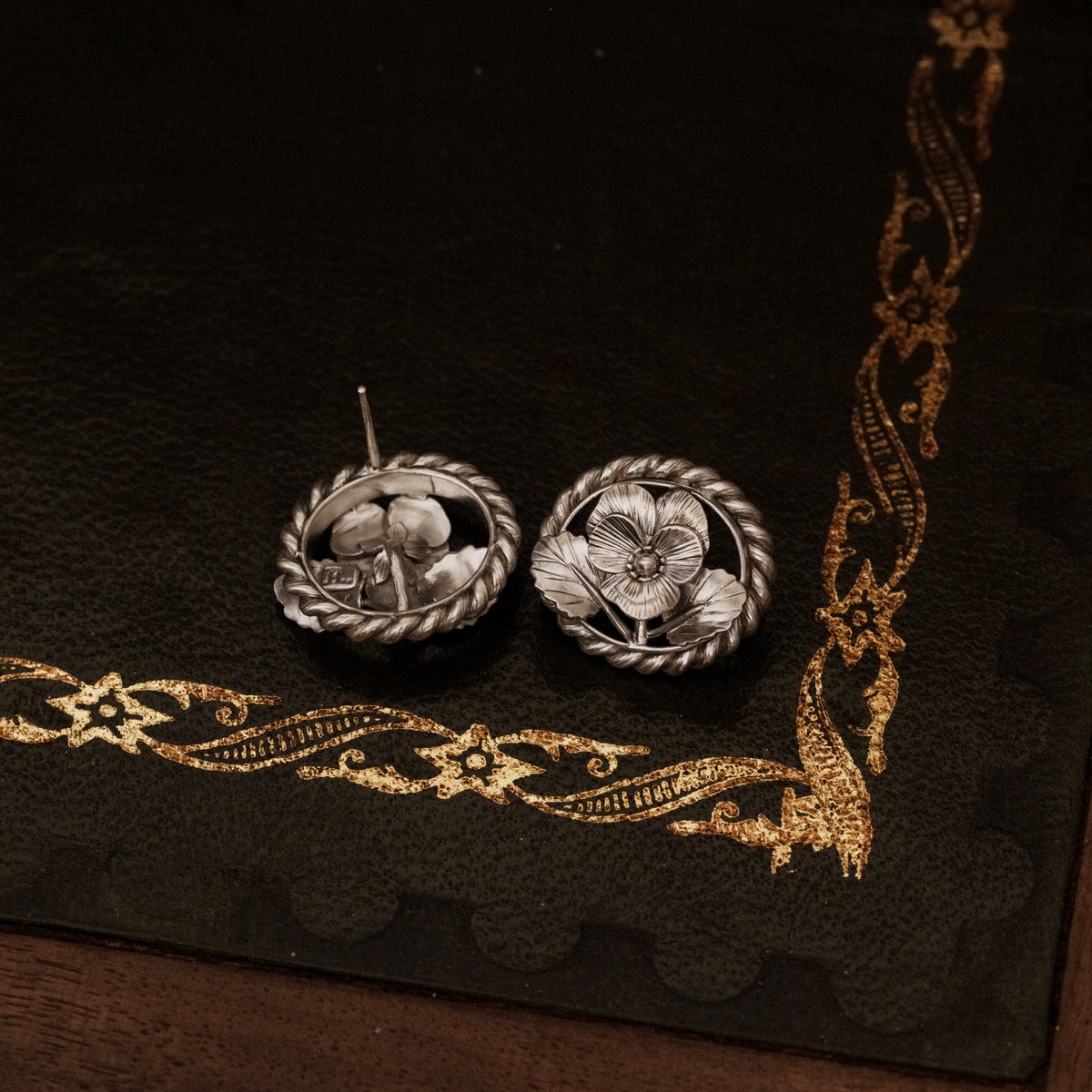 Cameo in Bloom __ Pansy ( 1st Anniversary )