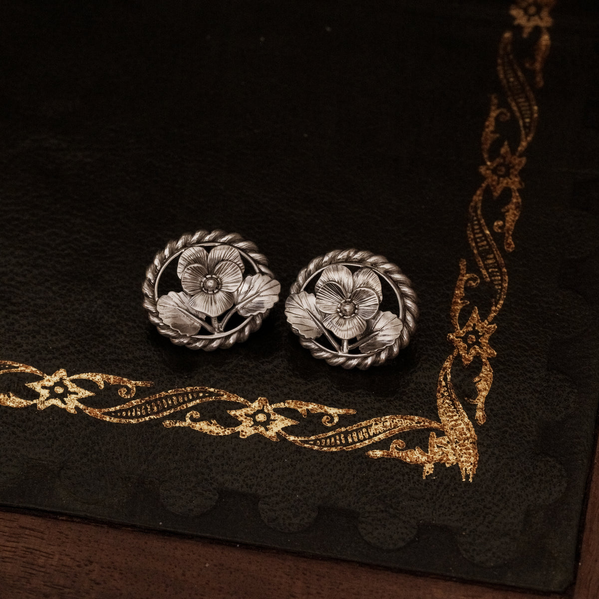 Cameo in Bloom __ Pansy ( 1st Anniversary )